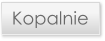 Kopalnie